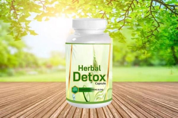 WhatsApp Image 2025-07-08 at 4.47.02 PM (1)